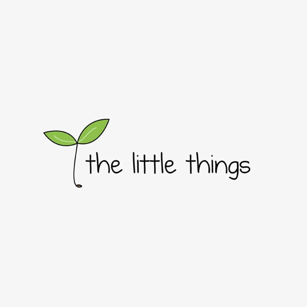 The Little Things Foundation logo