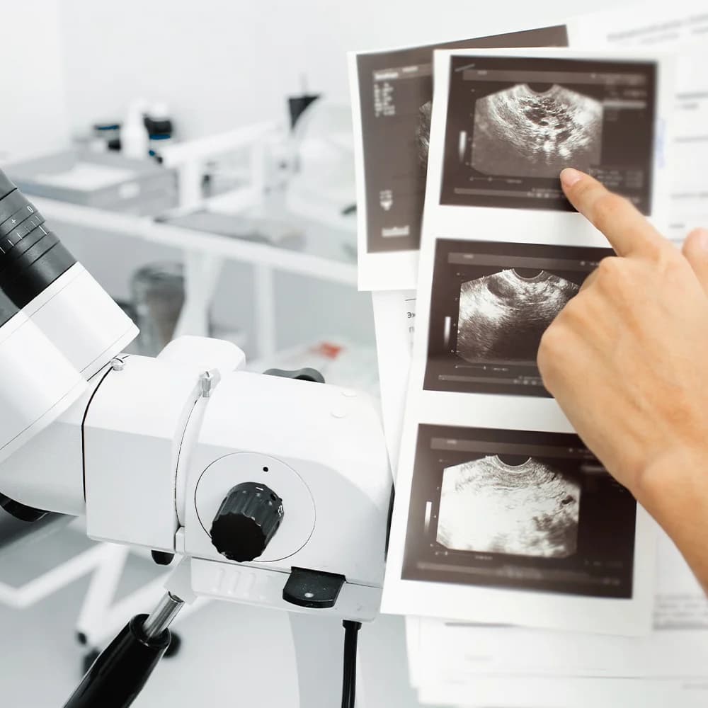 Consultant carrying out a hormone assessment